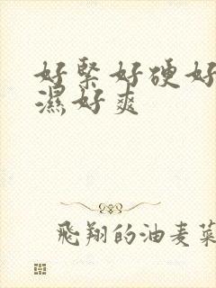 好紧好硬好大好湿好爽