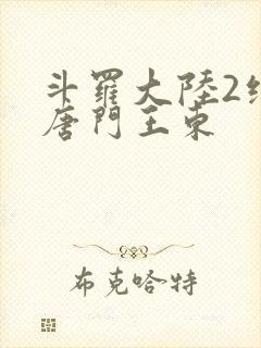 斗罗大陆2绝世唐门王东