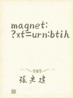 magnet:?xt=urn:btih 传媒