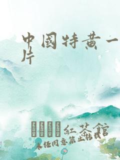 中国特黄一级大片