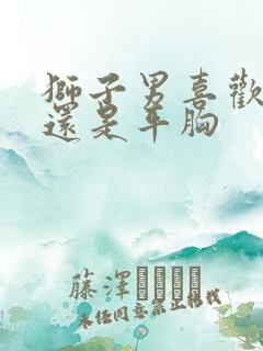 狮子男喜欢大胸还是平胸