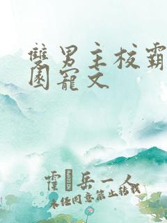 双男主校霸的校园宠文