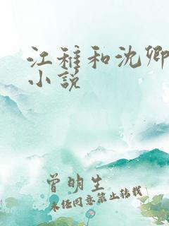 江稚和沈卿尘的小说