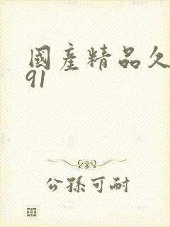 国产精品久久久91