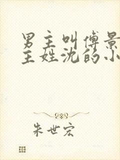 男主叫傅景琛女主姓沈的小说