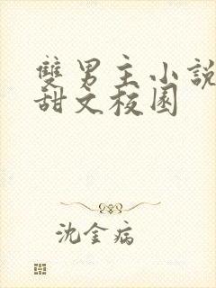 双男主小说推荐甜文校园