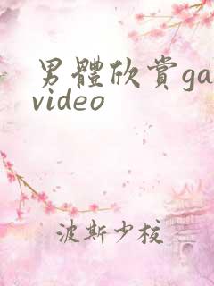 男体欣赏gayvideo