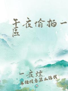 午夜偷拍一区二区