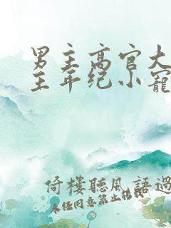 男主高官大叔女主年纪小宠文