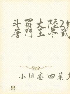 斗罗大陆2绝世唐门王冬武魂