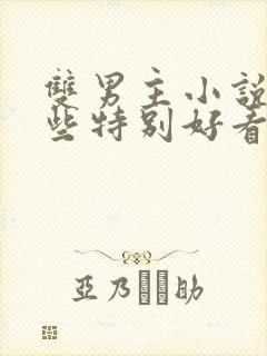 双男主小说有哪些特别好看的