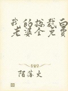 我的总裁白富美老婆全免费的小说