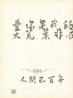 爱你是我的地老天荒 叶非夜