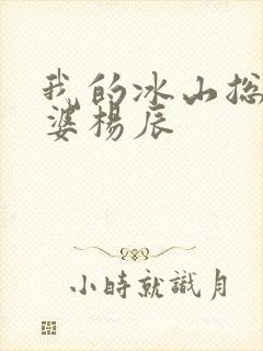 我的冰山总裁老婆杨辰