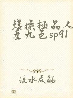 爆操极品人妻国产九色sp91