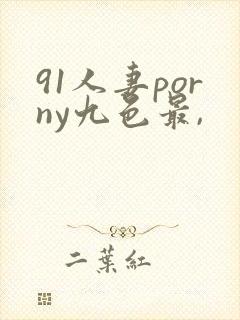 91人妻porny九色最,