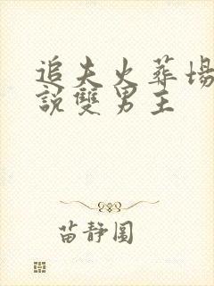 追夫火葬场的小说双男主