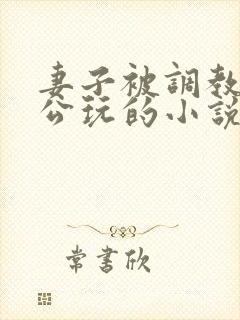 妻子被调教给老公玩的小说