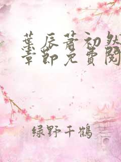 叶辰萧初然全集章节免费阅读无弹窗小说