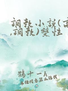 调教小说(高h,调教)双性