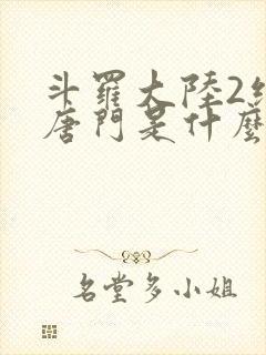 斗罗大陆2绝世唐门是什么时候出的