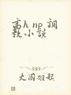 高h np 调教小说