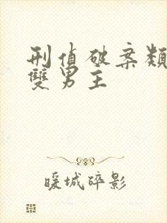 刑侦破案类小说双男主