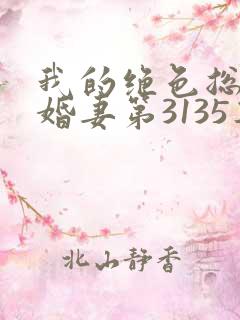 我的绝色总裁未婚妻第3135集