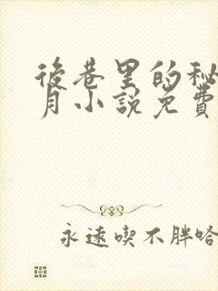 后巷里的秘密白月小说免费阅读