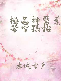 极品神医叶辰夏若雪孙怡