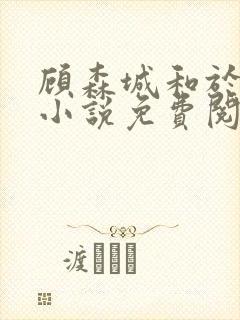 顾森城和于皎皎小说免费阅读