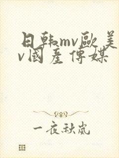 日韩mv欧美mv国产传媒