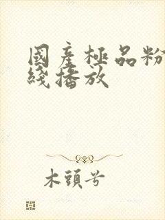 国产极品粉嫩在线播放