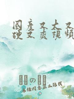 国产又大又长又硬又爽视频