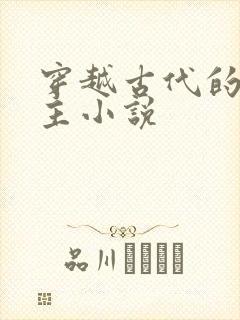 穿越古代的双男主小说