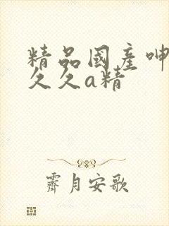 精品国产呻吟吟久久a精