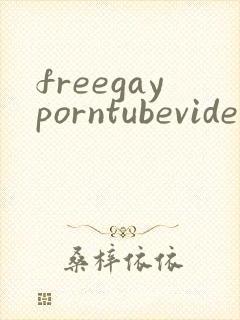 freegayporntubevideos