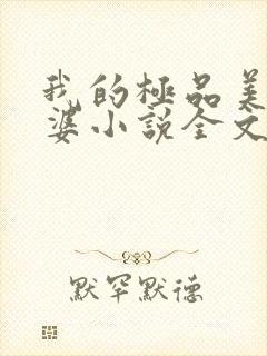 我的极品美女老婆小说全文免费读