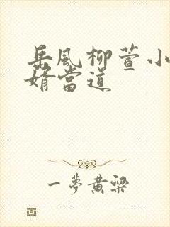 岳风柳萱小说赘婿当道