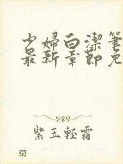 少妇白洁笔趣阁最新章节免费观看