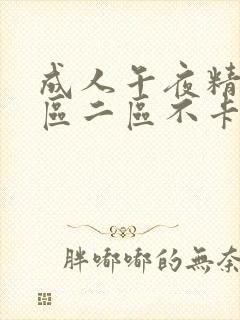 成人午夜精品一区二区不卡久久久