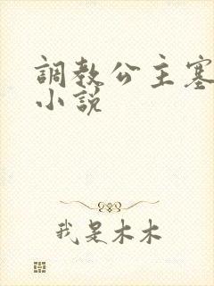 调教公主塞玉势小说