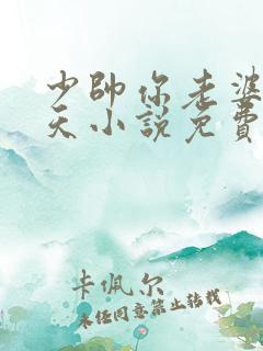 少帅你老婆要翻天小说免费阅读