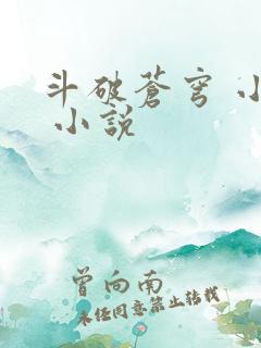 斗破苍穹 小说 小说