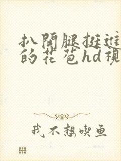 扒开腿挺进湿润的花苞hd视频