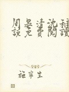 周晏清沈稚的小说免费阅读无弹窗