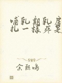 哺乳期乳房和针扎一样疼是怎么回事