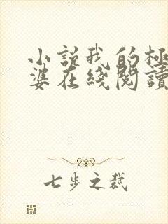 小说我的极品老婆在线阅读