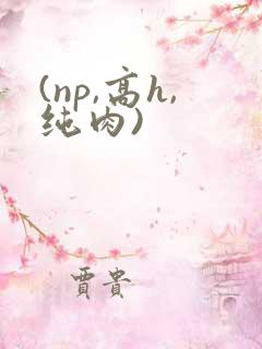 (np,高h,纯肉)