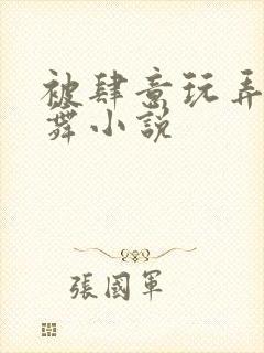 被肆意玩弄的小舞小说